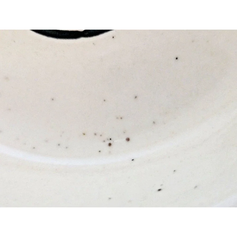 Double Sided Beige Speckled Ceramic Cat Food and Water Dish